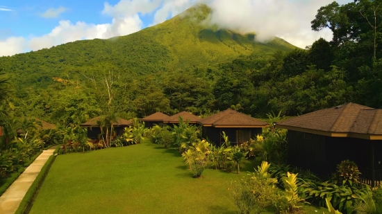 Tree, Mountain, Landscape, Sky, Volcano, Woody Plant