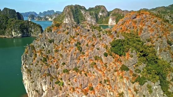 Tree, Mountain, Landscape, Woody Plant, Mountains, Canyon