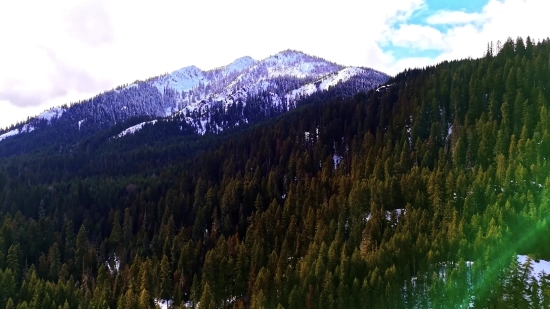 Tree, Mountain, Willow, Woody Plant, Landscape, Mountains