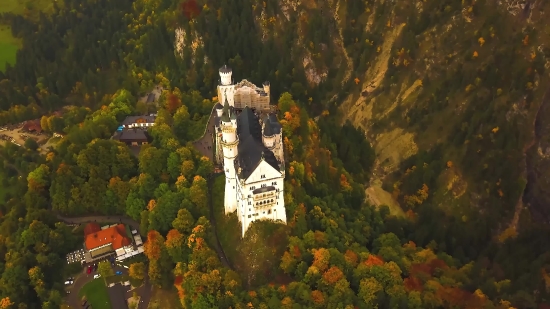 Tree, Palace, Castle, Landscape, Forest, Autumn