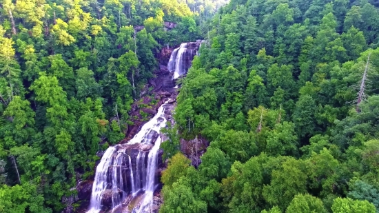 Tree, River, Forest, Landscape, Woody Plant, Mountain