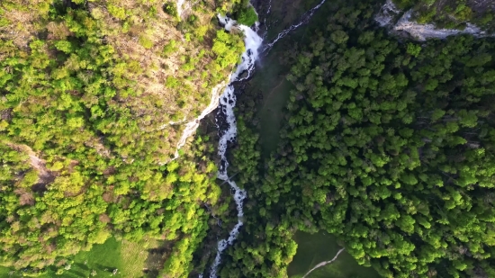 Tree, River, Rock, Stone, Landscape, Forest