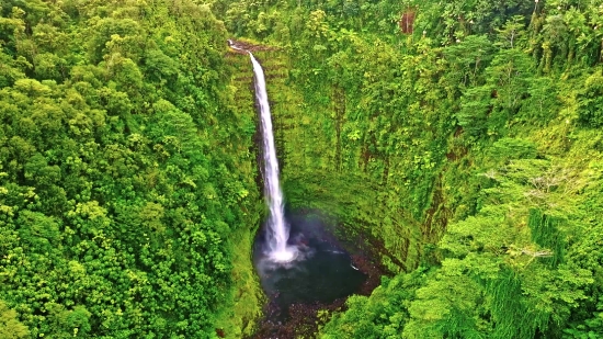 Tree, Waterfall, Forest, River, Park, Stream