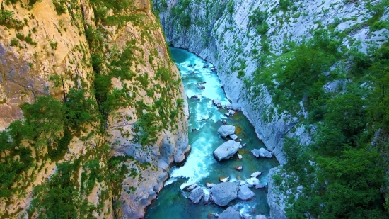 Tree, Woody Plant, River, Landscape, Forest, Rock