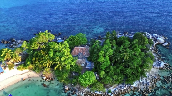 Tree, Woody Plant, Vascular Plant, Landscape, Water, Sea