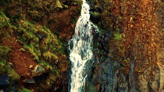 Tree, Woody Plant, Waterfall, Forest, River, Stream