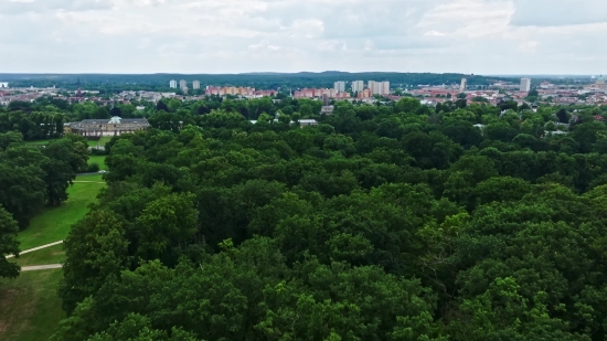 Tube Mate Apk, Tree, Woody Plant, Landscape, Vascular Plant, Sky