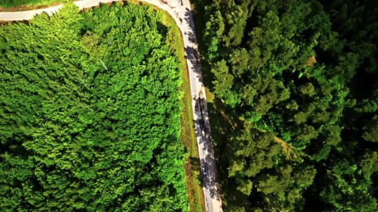 Tunnel, Tree, Landscape, Mountain, River, Passageway