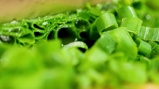 Vegetable, Dew, Produce, Leaf, Plant, Fresh