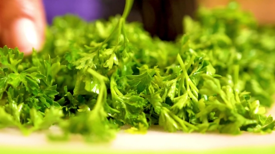 Vfx Stock Footage Free Download, Parsley, Vegetable, Food, Salad, Fresh