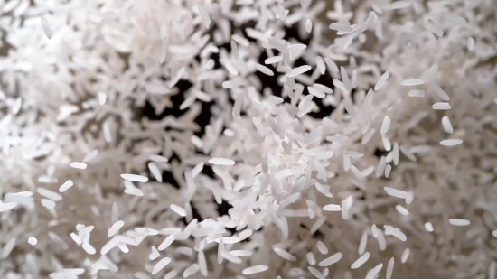 Video Background Png Download, Rice, Grain, Coral Fungus, Starches, Food