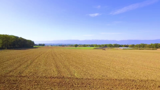 Video Clips Stock, Wheat, Cereal, Field, Rural, Agriculture