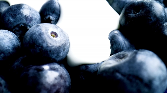 Video Editing Background Download, Blueberry, Berry, Edible Fruit, Fruit, Produce