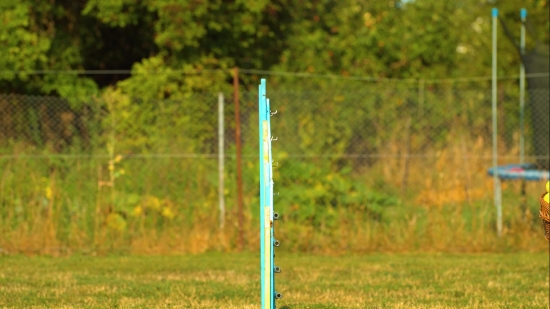 Video Green Screen Background, Pole, Rod, Grass, Golf, Course