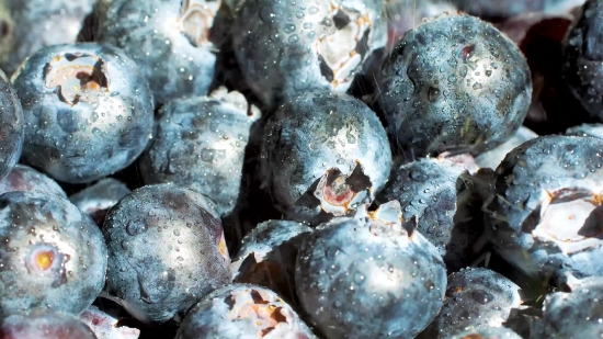 Video Hd Wallpaper Download, Blueberry, Berry, Edible Fruit, Fruit, Produce