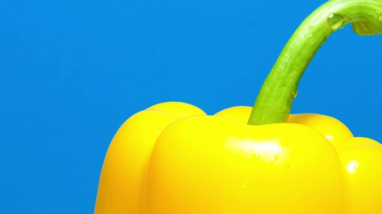 Video Short Download Free, Pepper, Vegetable, Bell Pepper, Sweet Pepper, Food