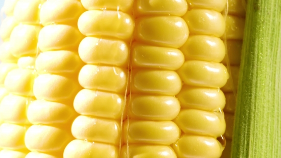 Video Wallpaper For Pc Free Download, Corn, Kernel, Grain, Seed, Fruit