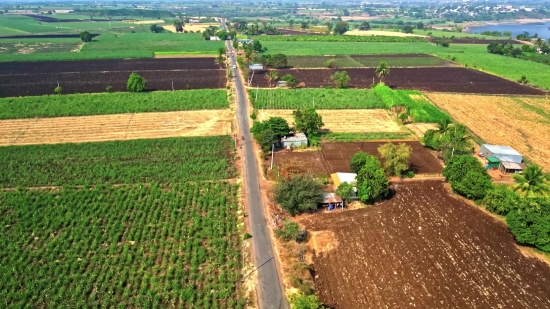 Videos Without Copyright, Field, Rural, Landscape, Agriculture, Plant