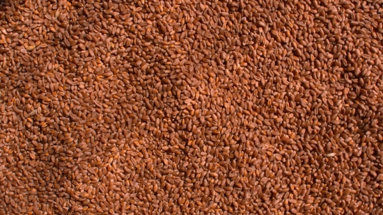 Vimeo Free Videos Download, Wheat, Texture, Burlap, Brown, Pattern