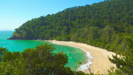 Water, Landscape, Beach, Tree, Shore, Sky