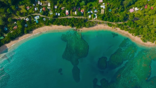 Water, Ocean, Sea, Beach, Stingray, Tropical