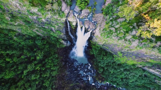 Waterfall, River, Stream, Forest, Tree, Water