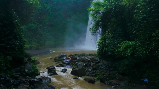 Waterfall, River, Stream, Forest, Water, Spring