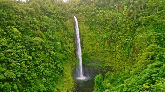 Waterfall, River, Stream, Water, Forest, Rock