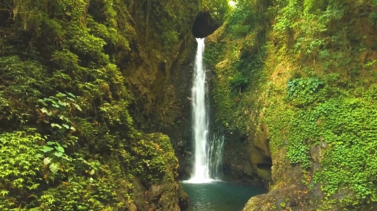 Waterfall, River, Stream, Water, Forest, Rock