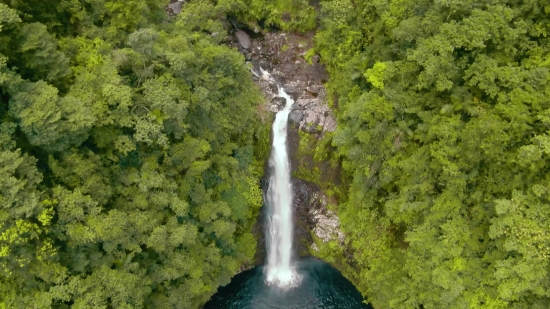 Waterfall, River, Tree, Stream, Forest, Water