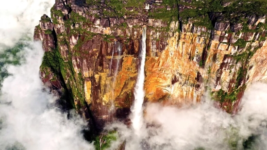 Waterfall, Tree, River, Stream, Water, Forest