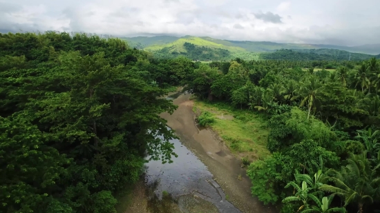 Wilderness, Landscape, Tree, Mountain, Mountains, Forest