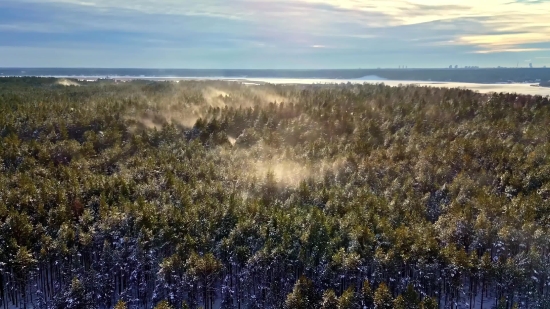 Youtube Copyright Free, Steppe, Plain, Land, Landscape, Ocean