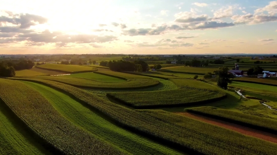 Youtube Video Background, Landscape, Field, Rural, Agriculture, Grass