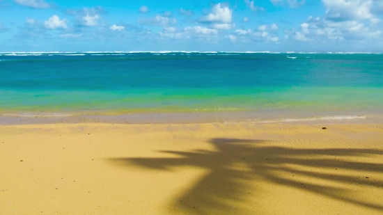 Zoom Virtual Background Video Download Free 1280x720, Beach, Sand, Ocean, Sea, Tropical